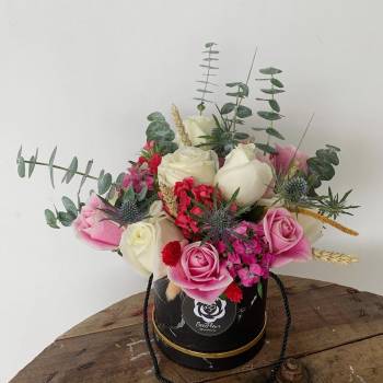 BBOX10 – Roses Gernation Bloom