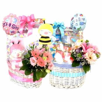 BH01 - Baby Bee