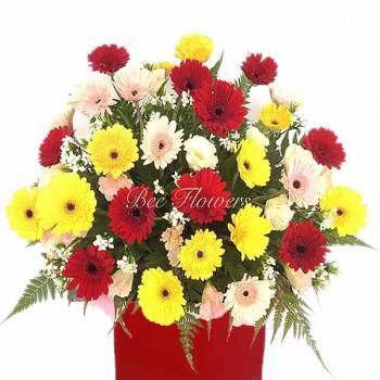 CS28 - Joyous Celebration
