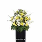 CONDOLENCE
