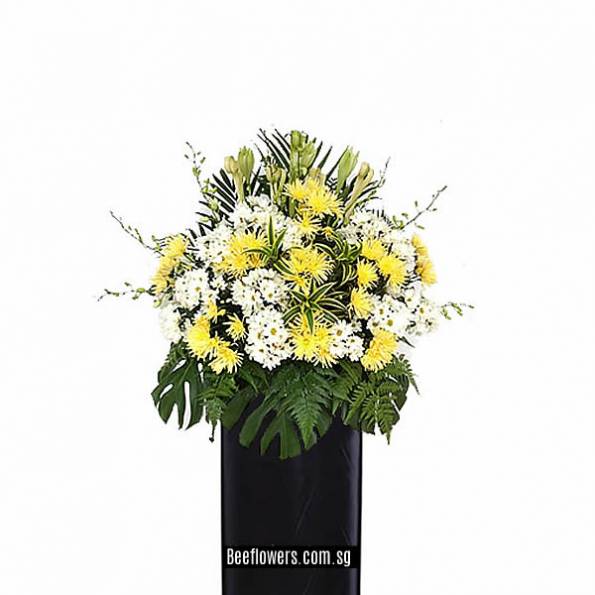 CONDOLENCE