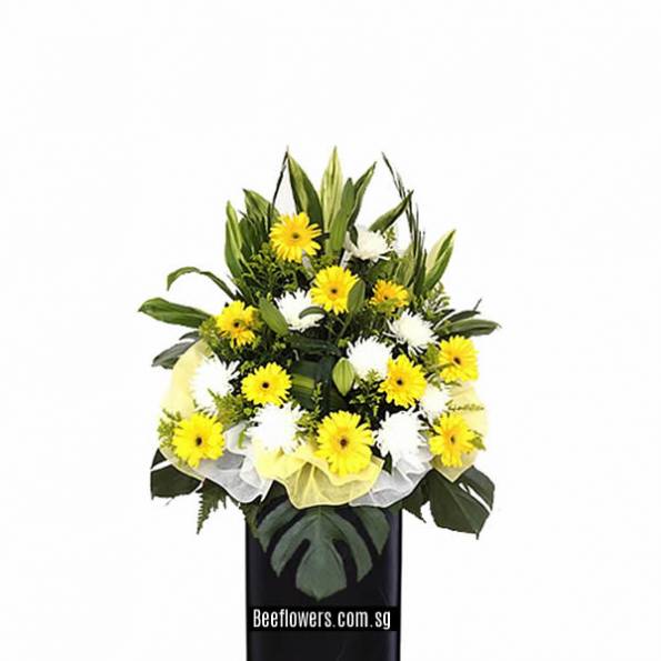 CONDOLENCE