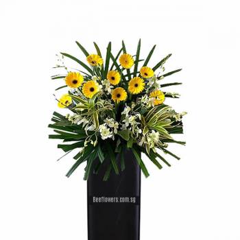 CW81 – Farewell Memorial